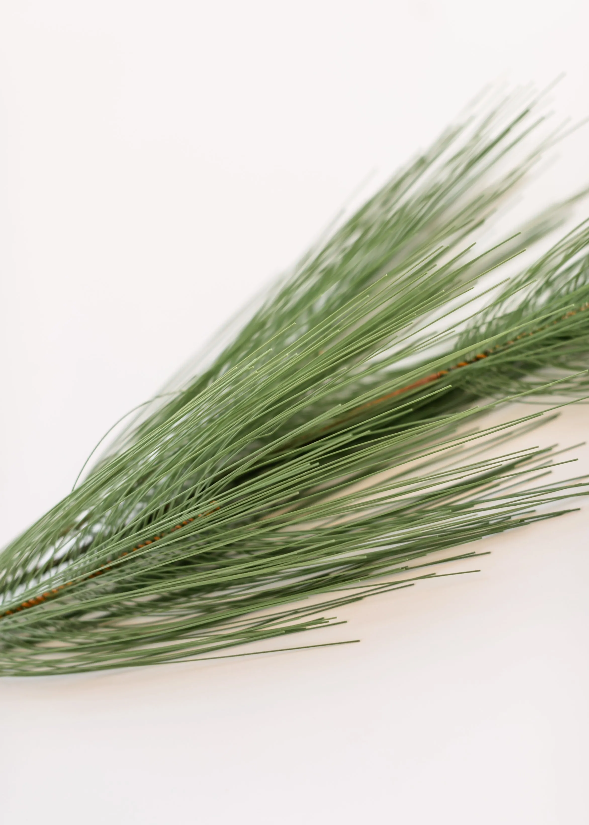 36" Long Needle Pine Spray