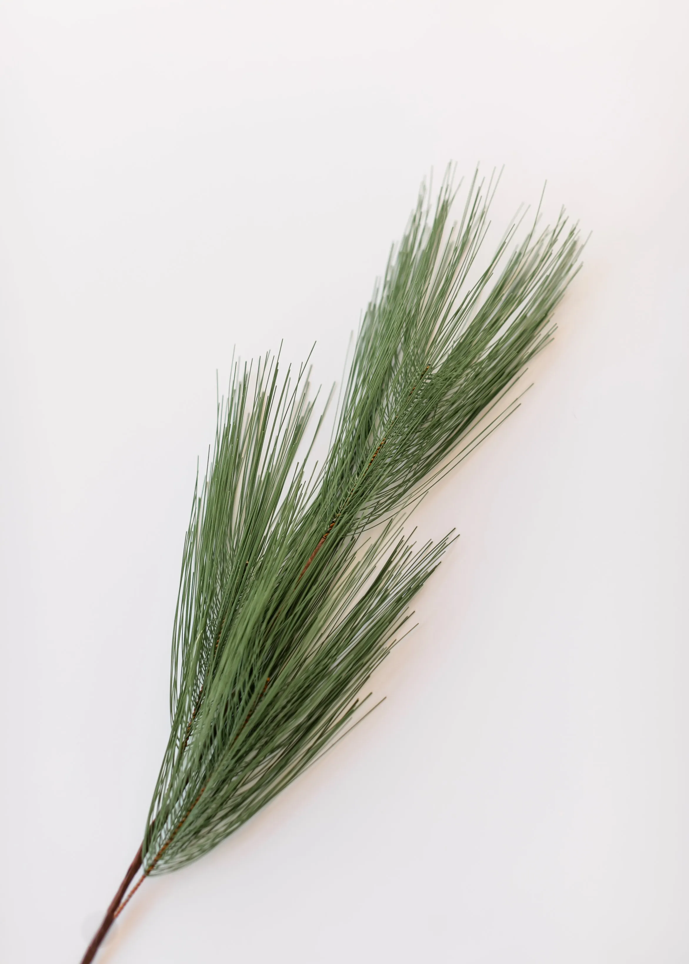 36" Long Needle Pine Spray