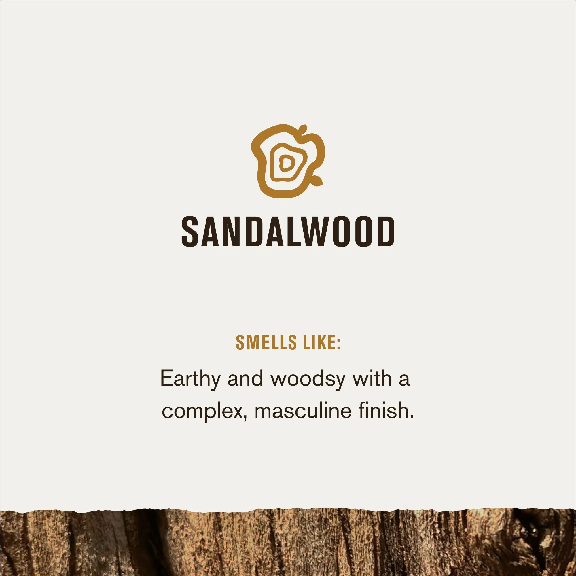 Beard Gift Set